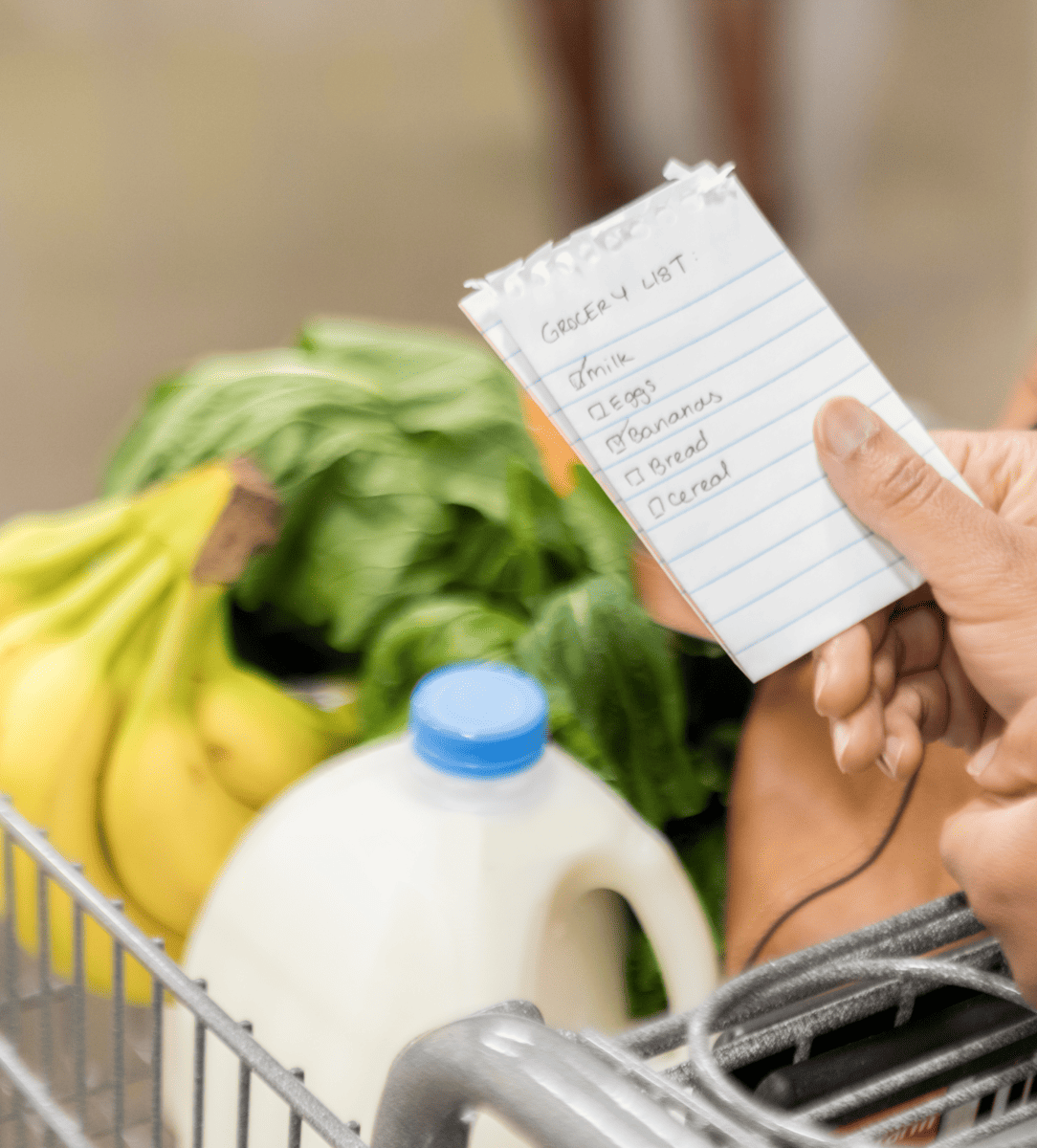 Publix vs Aldi: Who is Cheaper for Groceries? - Low Dough Family