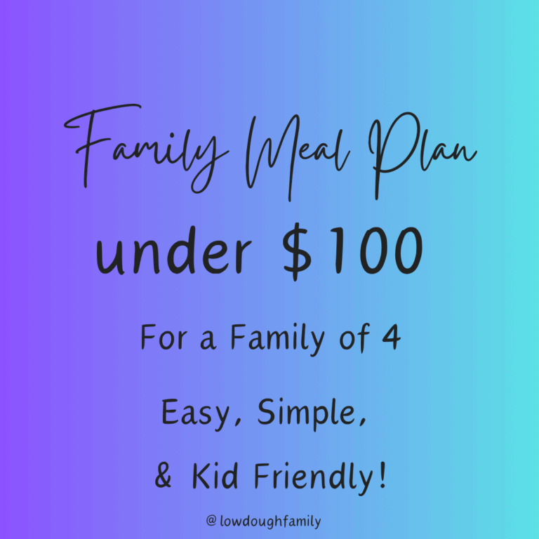 Affordable Family Meal Plan (Under $100) Fakeout Takeout Menu