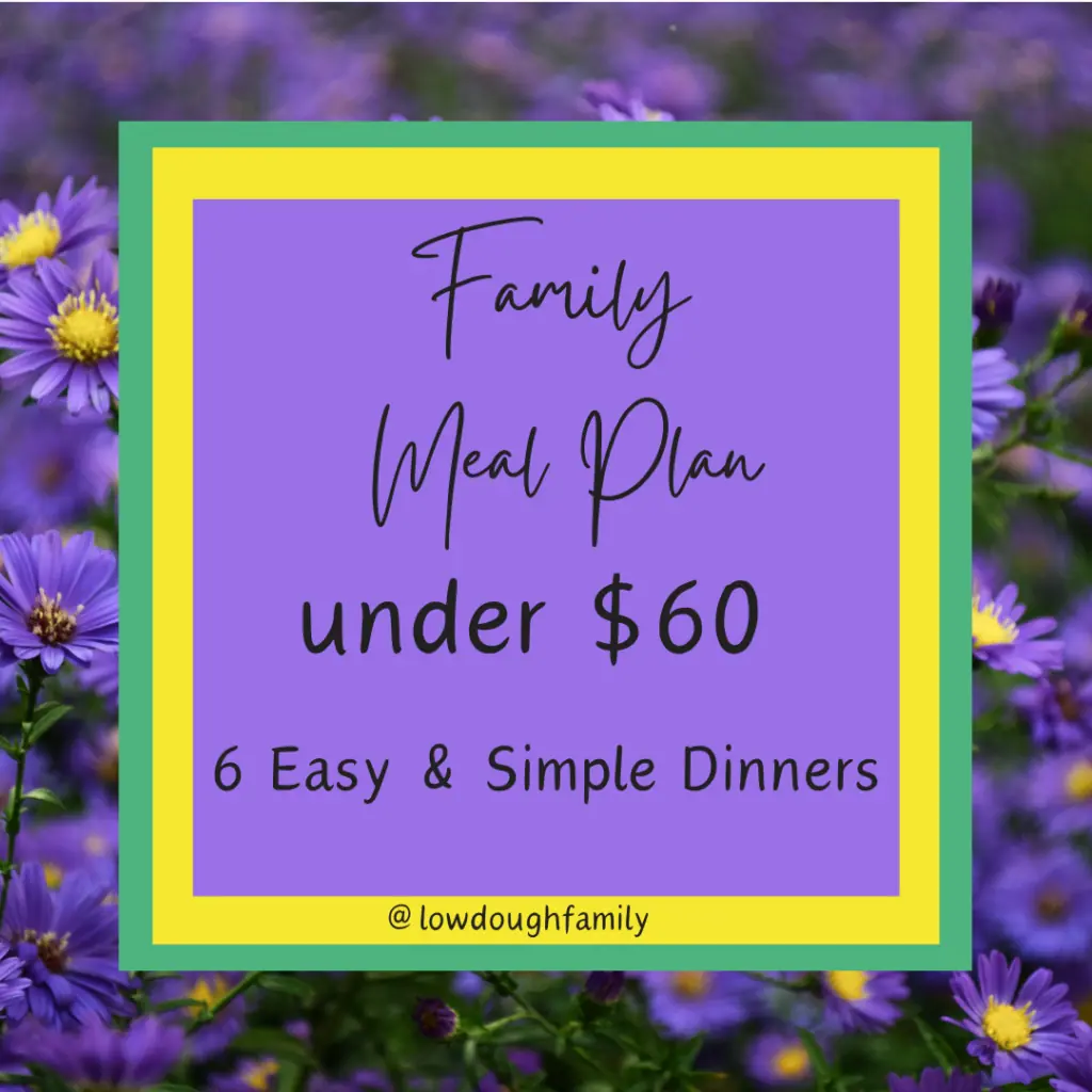 6 Budget Friendly Dinners under $60! (Week #16) – Low Dough Family