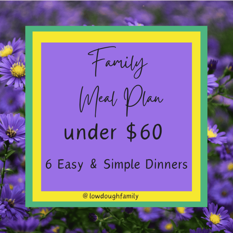 6 Budget Friendly Dinners under $60! (Week #16)