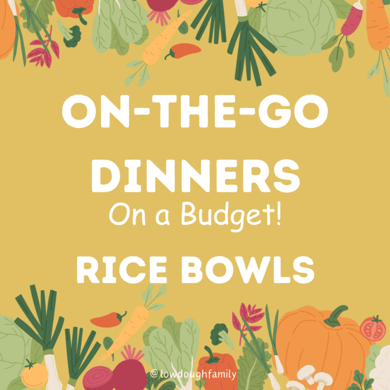 Busy Night Dinners (8 Rice Bowls under $10)