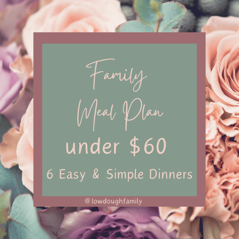 Walmart Dinner Ideas (6 for $60)- Week #17