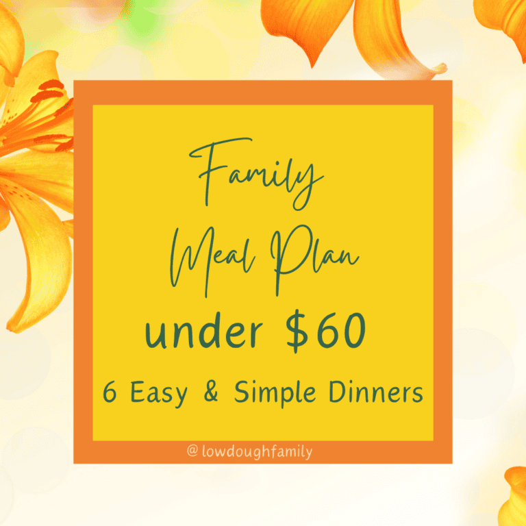 6 Yummy Dinners for $60 (Week #20)