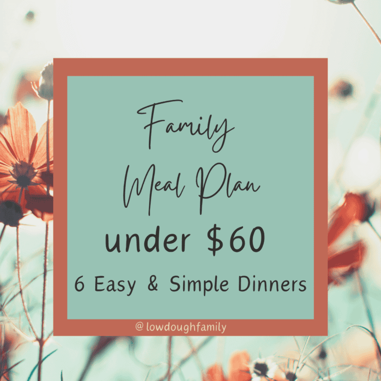 Realistic Low Effort Summer Meal Plan for under $60 (Week #24)