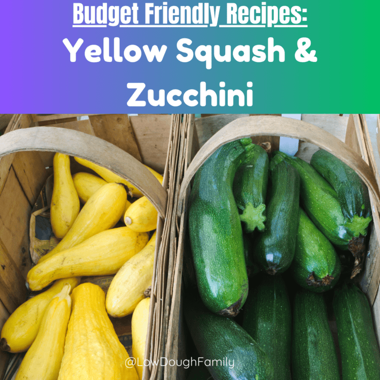 Zucchini & Yellow Squash Recipes on a Budget!