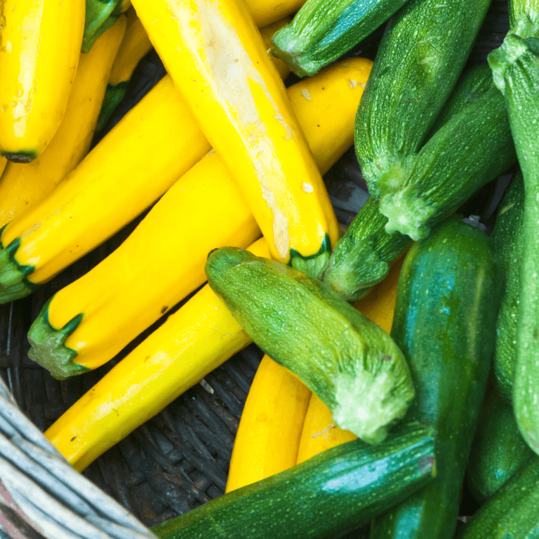 48 Meal Ideas using Zucchini and Yellow Squash