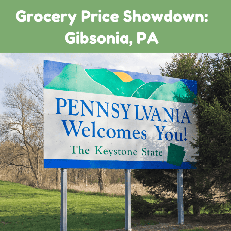 Grocery Price Showdown: Gibsonia, PA