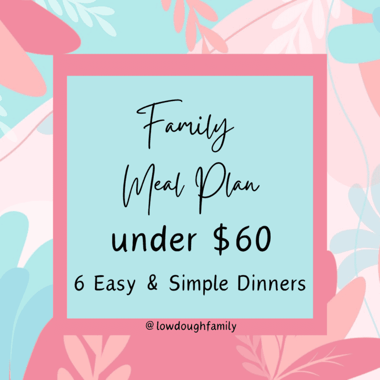 6 Dinner Walmart Meal Plan for $60 (Week #31)