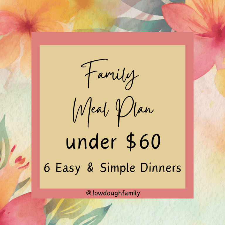 6 Quick & Yummy Dinners for under $60 (Week #34)