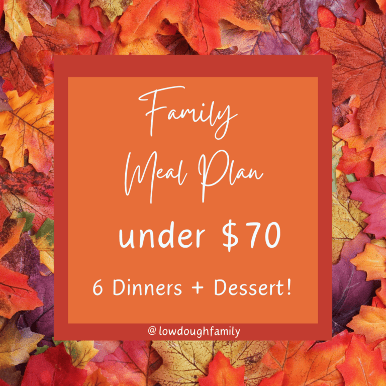 6 Dinners & Dessert for Under $70 at Walmart (Week #36)