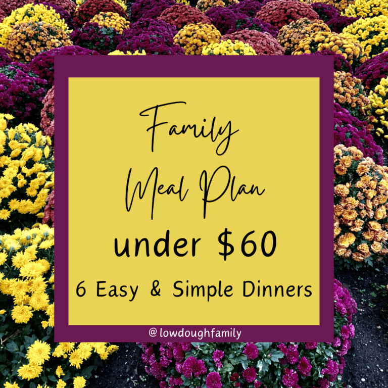 Family-Friendly & Affordable Dinner Ideas (6 for $60 at Walmart)- Week #35