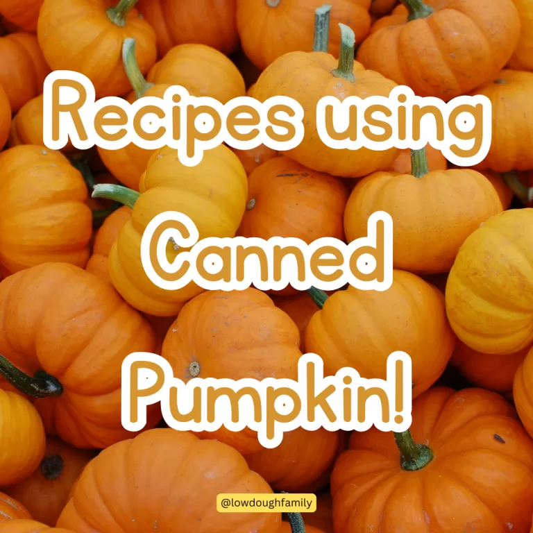 8 Delicious Recipes to Make with Canned Pumpkin that is not Pumpkin Pie!