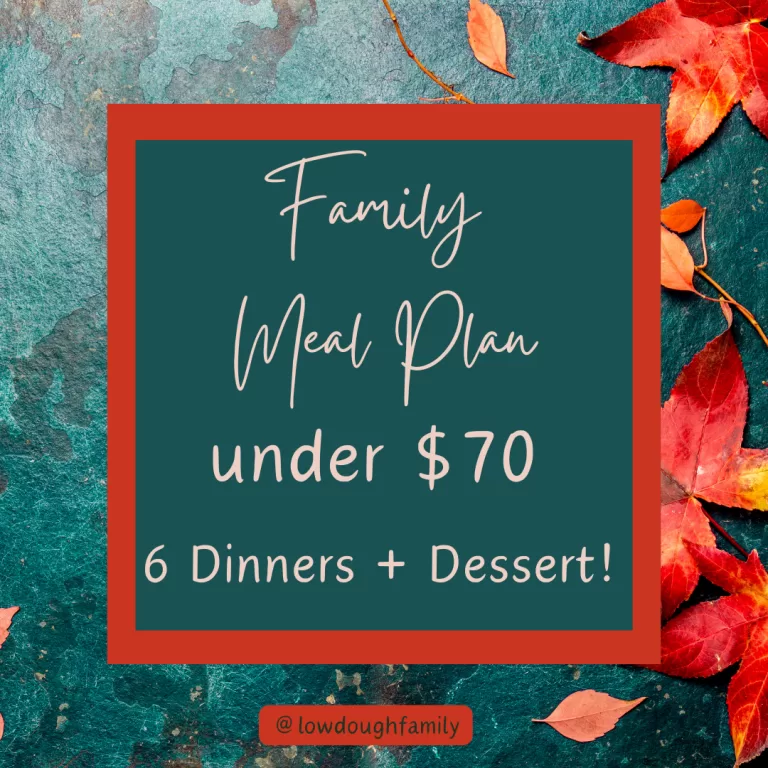 6 Yummy Meals & Dessert for Under $70 at Walmart! (week #39)