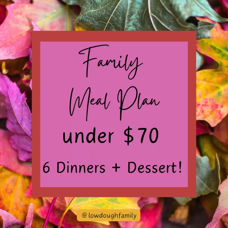 6 Cozy & Easy Dinners Plus Dessert for $70 (Week #41)