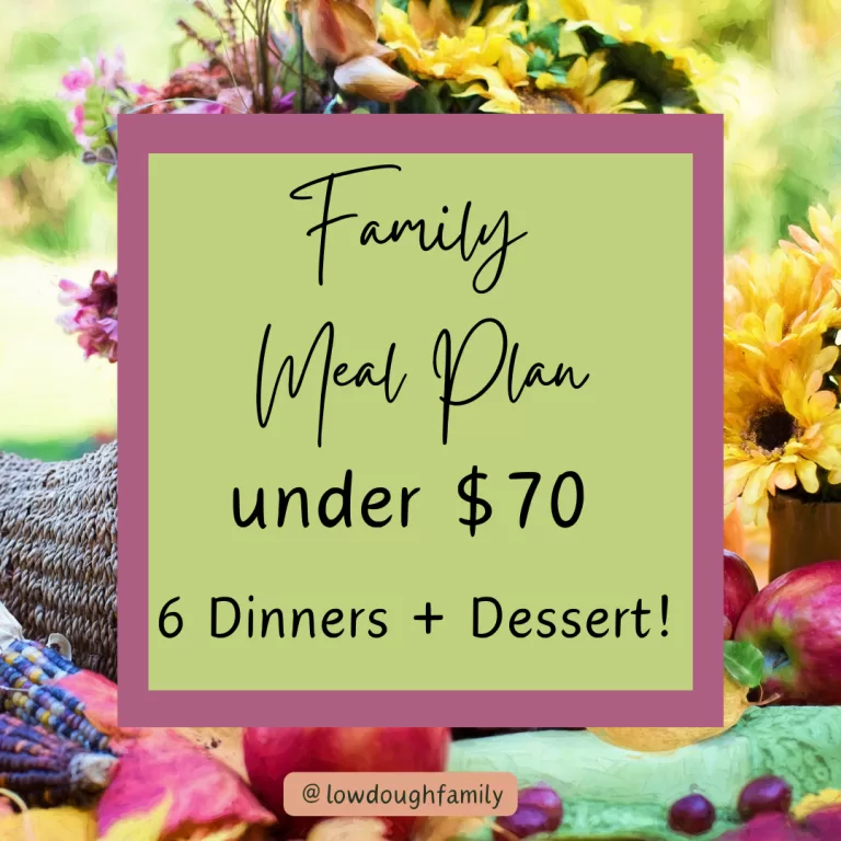 Simple Family Dinners for Under $70 (Week #43)