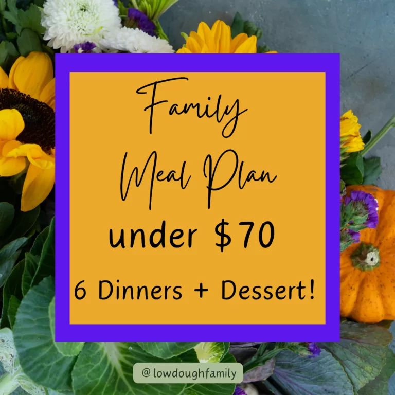 Fast Easy Meal Plan for under $70 (Week #44)