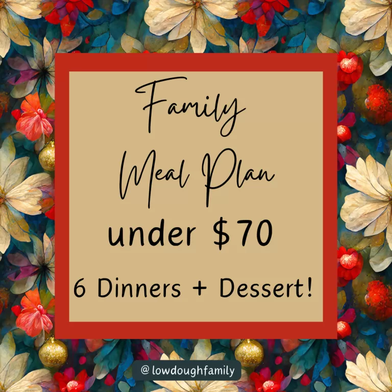 Easy Family Meals on a Budget – Week #47