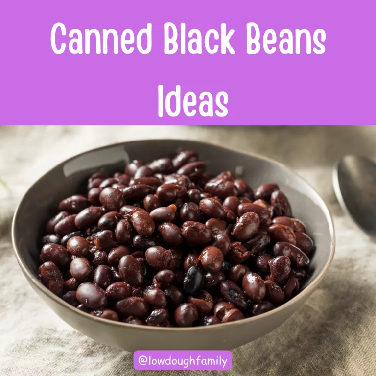 Kid-Friendly Black Bean Meal Ideas