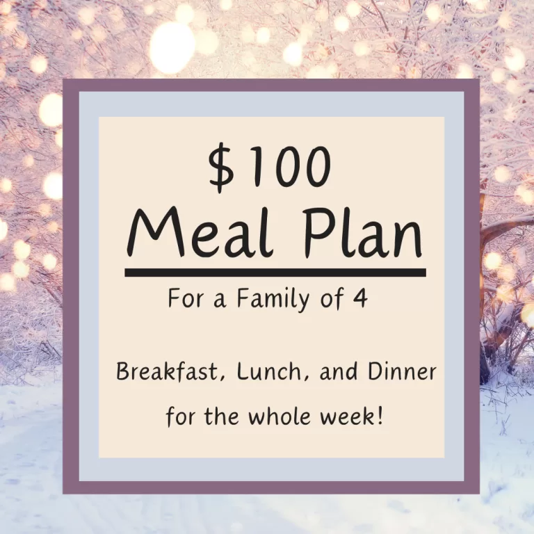 Family Meal Plan on a Budget (Week #49)