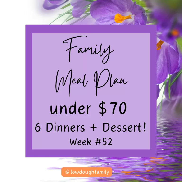 Cheap Meal Ideas (6 Dinners & Dessert for $70) Week #52