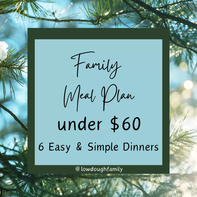 6 Cheap Family Dinners on a Budget (Week #54)