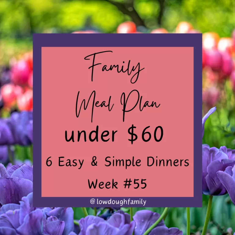 Week 55: 6 Dinners for $60 at Walmart!