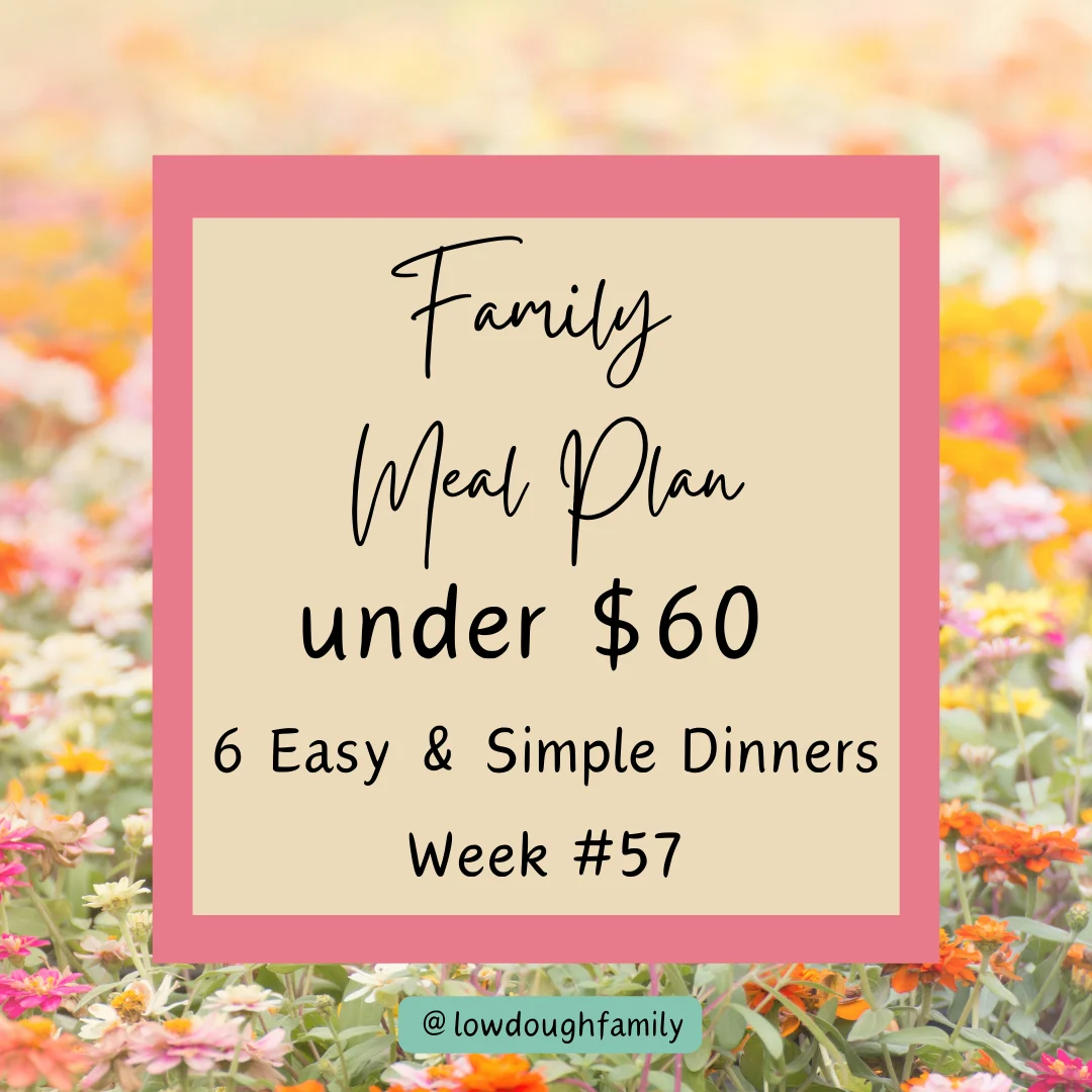 Week 57: 6 Dinners for under $60 at Walmart