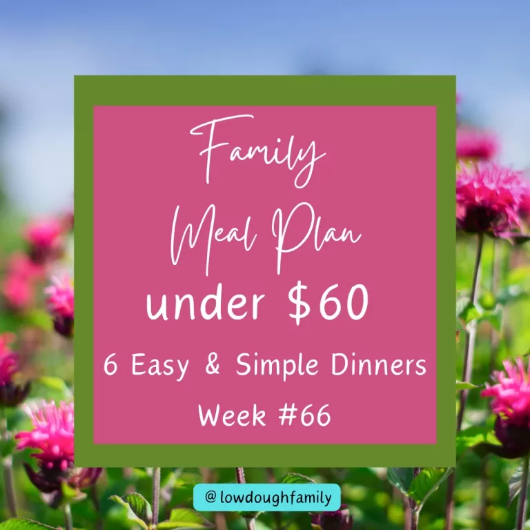 Affordable & Oven-Free: 6 Summer Dinners for Just $60 (Week #66)