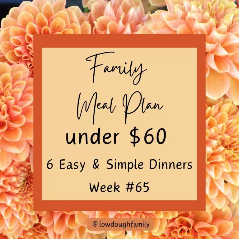 Real-Life Meal Plan: 6 Easy Dinners from Ground Beef & Chicken Breast (Week 65)