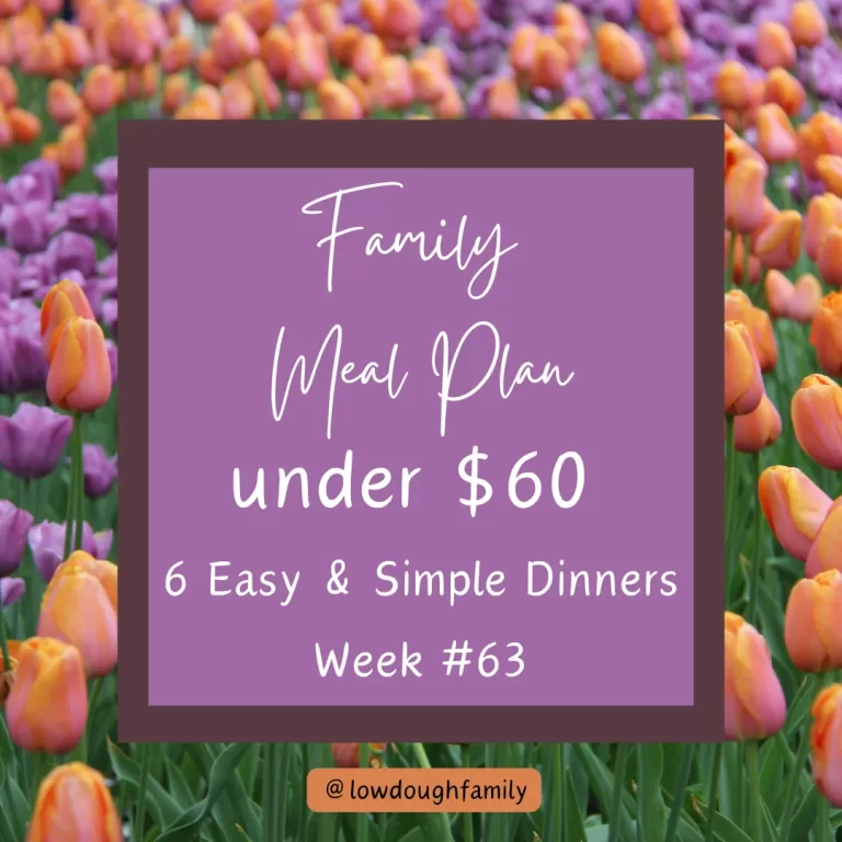 Simple, Real-Life Meals: Budget Dinners from Walmart for $60 (Week #63)