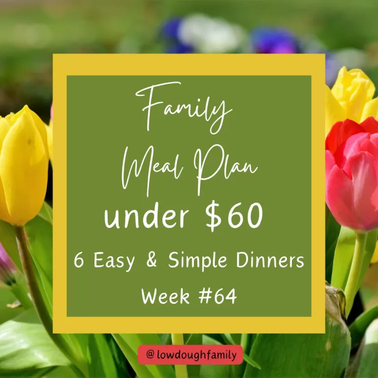 Week Full of Dinners for $60 at Walmart – Easy, Affordable, and Delicious