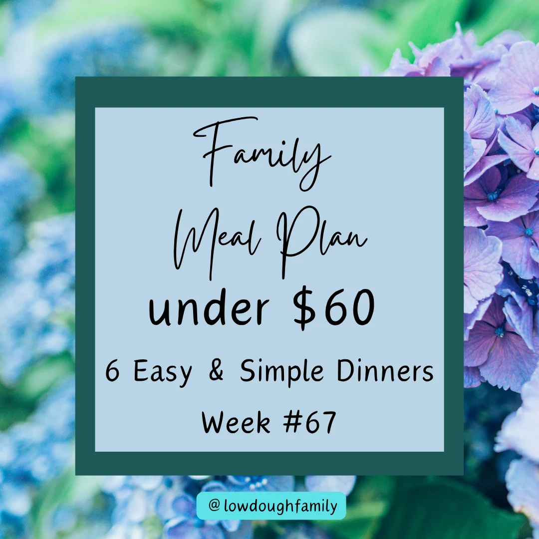 Skip the Oven: 6 Quick Meals for Hot Days under $60 (Week #67)