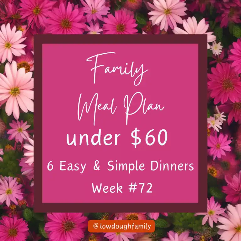 6 Weeknight Meals on a Budget ($60 at Walmart) Week#72