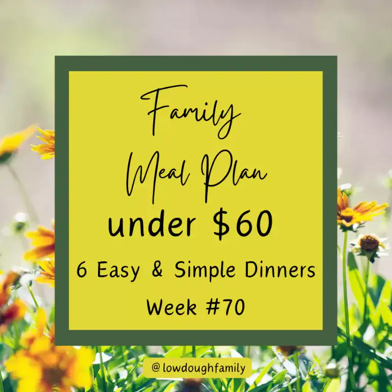 Easy Weeknight Dinners Without the Oven (6 Meals for $60) Week #70