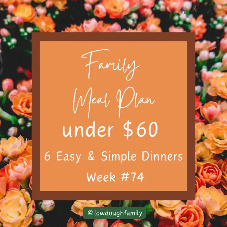 Simple 6-Dinner Plan That Won’t Break the Bank (week #74)