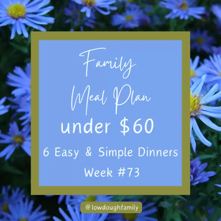 Easy Family Dinners for Fall: 6 Meals, One Cart, Under $60 (Week#73)