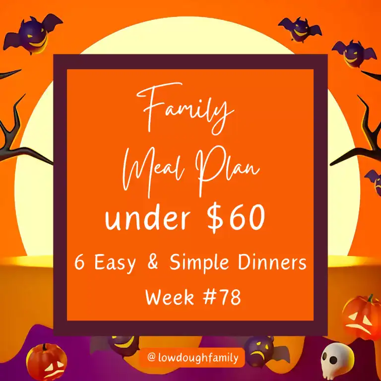 Easy Weeknight Crockpot Meals for Families on a Budget (Week #79)