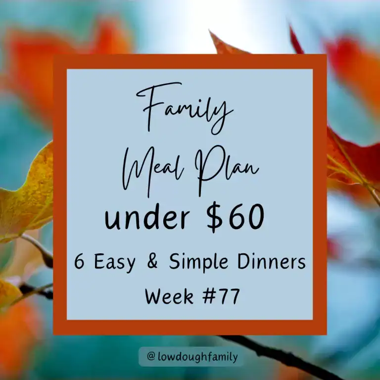 Easy Fall Comfort Meals on a Budget (6 Dinners for $60) Week #77