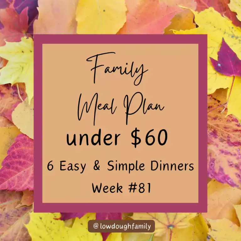 Affordable Meal Plan: 6 Easy Dinners for Under $60 This Week (Menu #81)