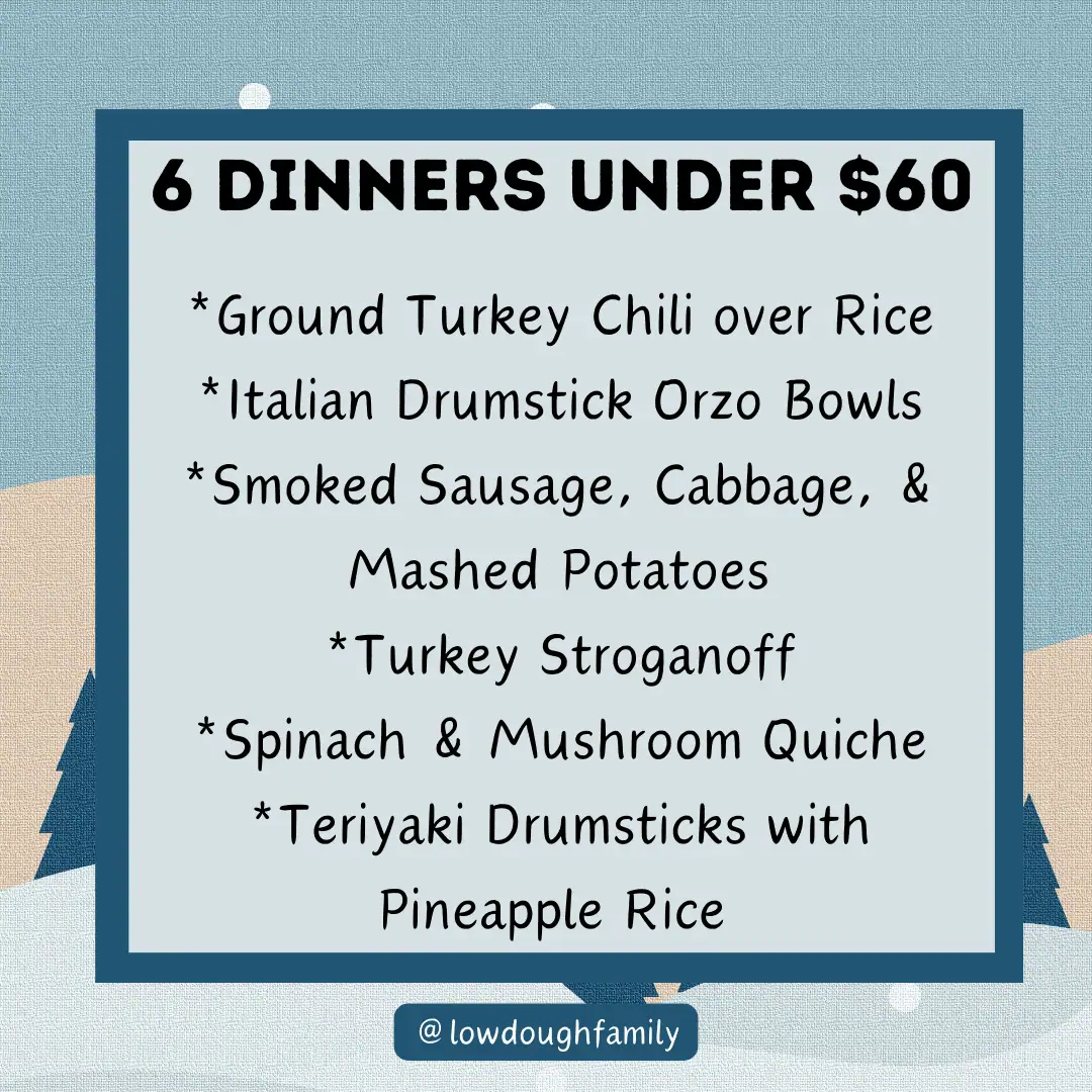 Cheap and Easy Family Dinners Under $60 (Week #88) – Low Dough Family
