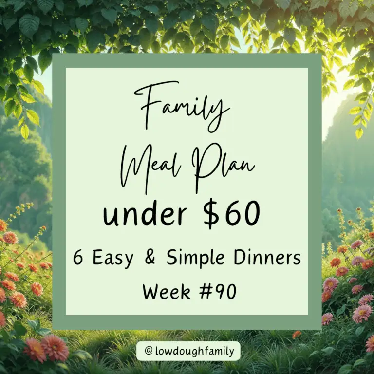 Smart Grocery Planning: 6 Dinners for Under $60 (Week #90)