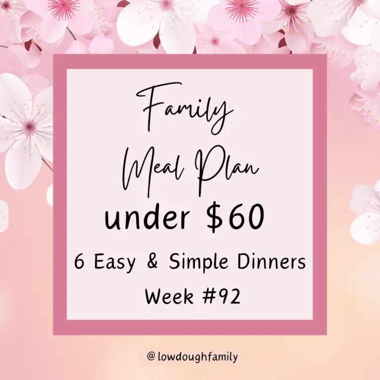 Budget-Friendly Dinner Ideas for Busy Weeknights (Week# 92)