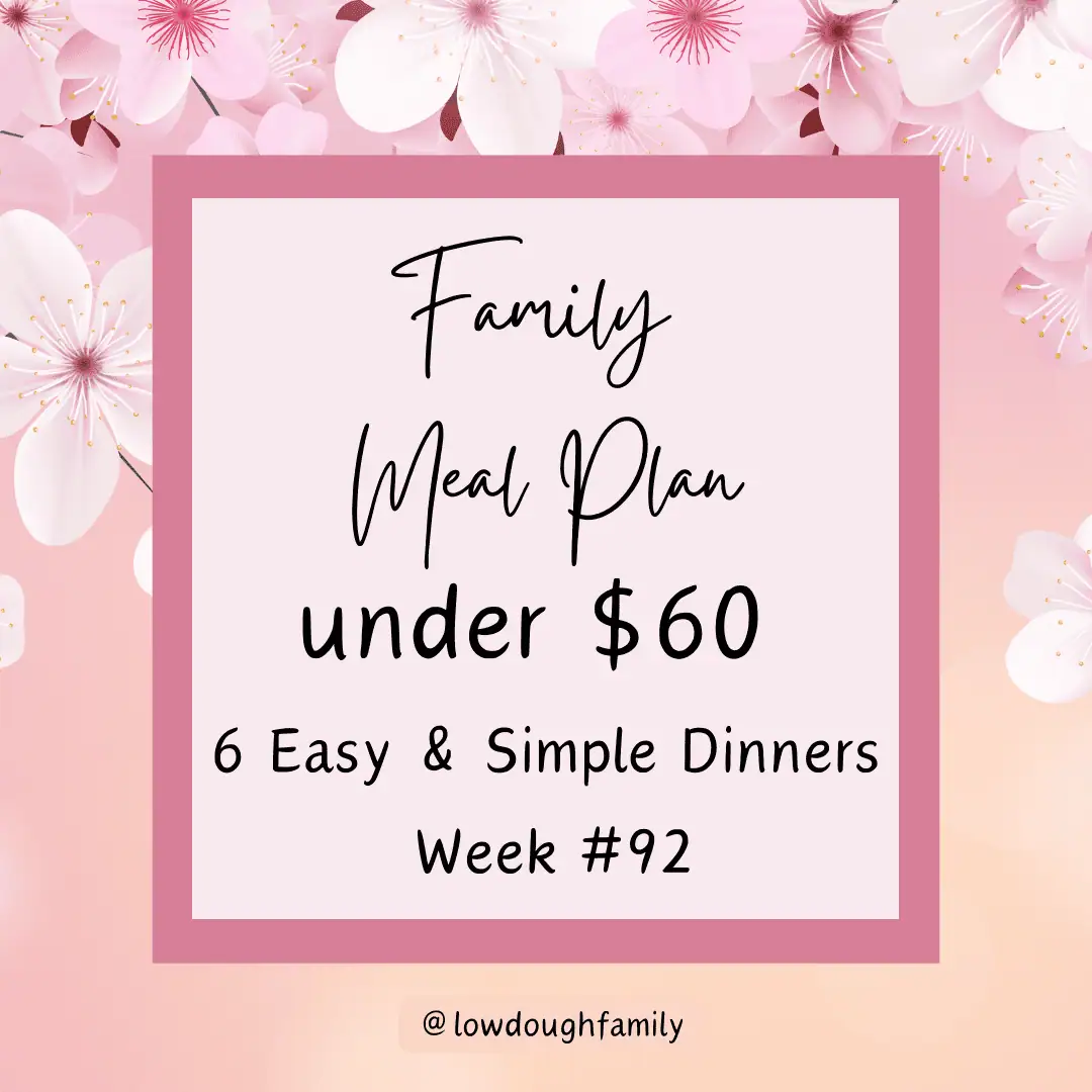 Budget-Friendly Dinner Ideas for Busy Weeknights (Week# 92)