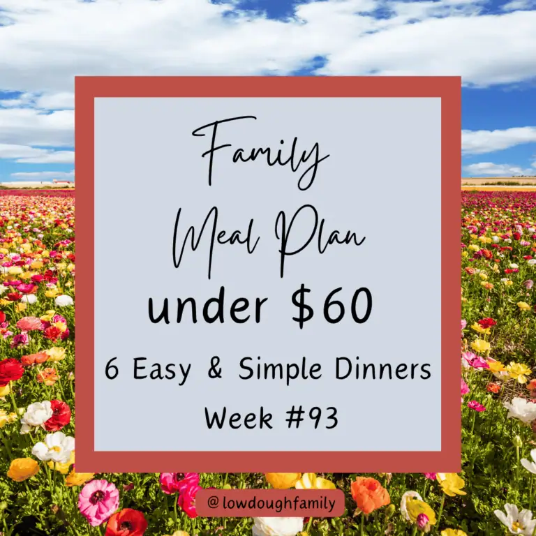 A Week of Easy Dinners for $60 (No Stress, No Fancy Ingredients) Week#93