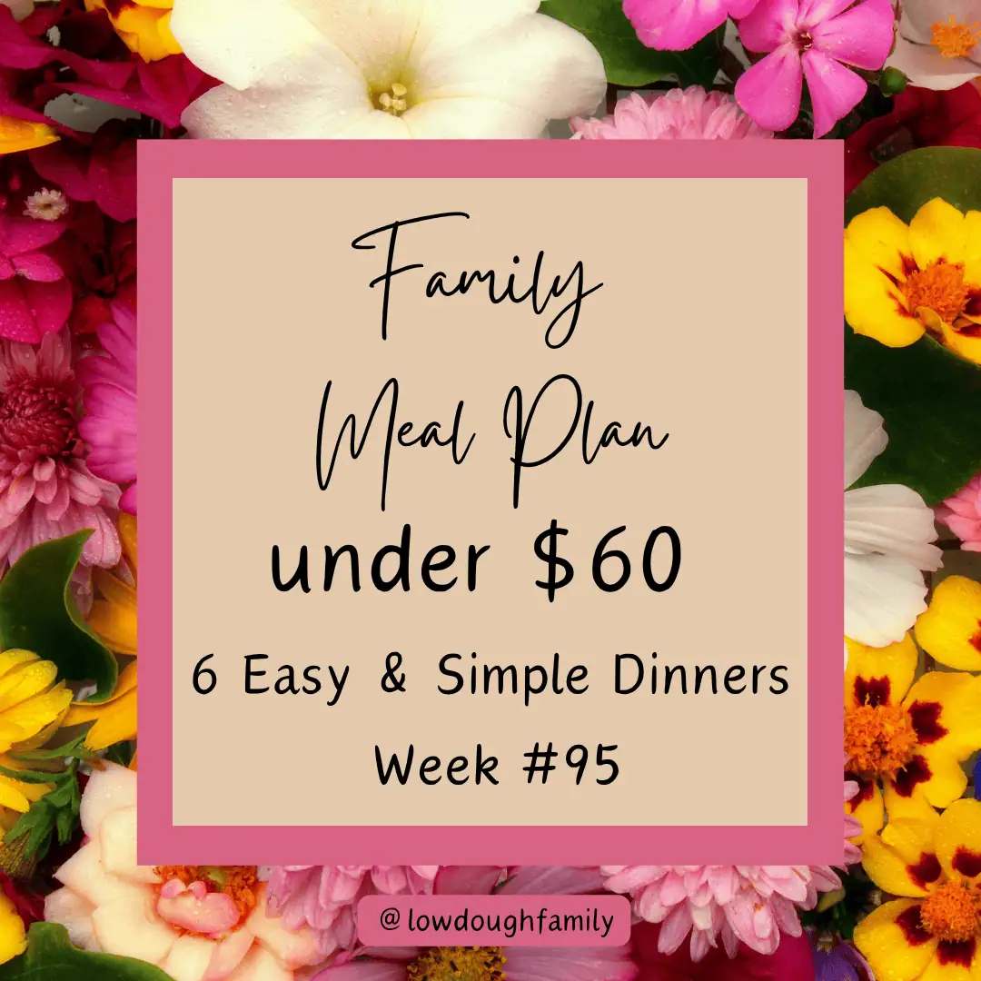 Feed Your Family for Under $60 AND Stock Your Pantry (6 Dinner Plan)
