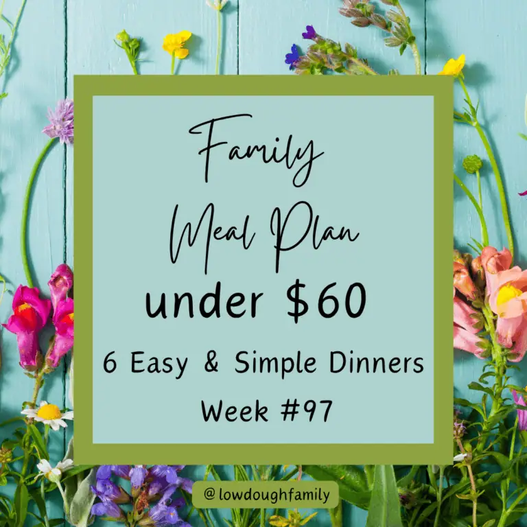 Family Dinner Plan Under $60 (Week #97)