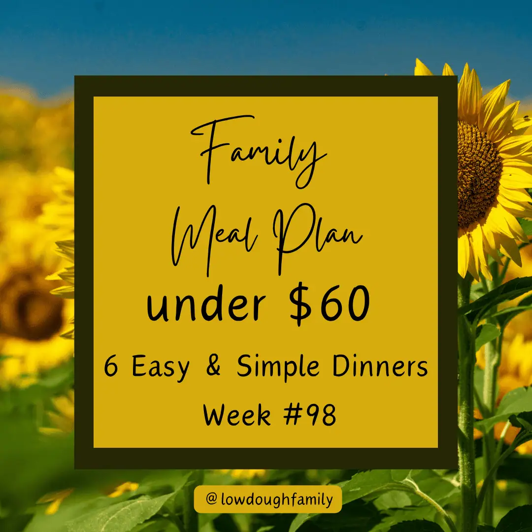 No Oven Needed: 6 Budget-Friendly Dinners for Under $60 (Week#98)